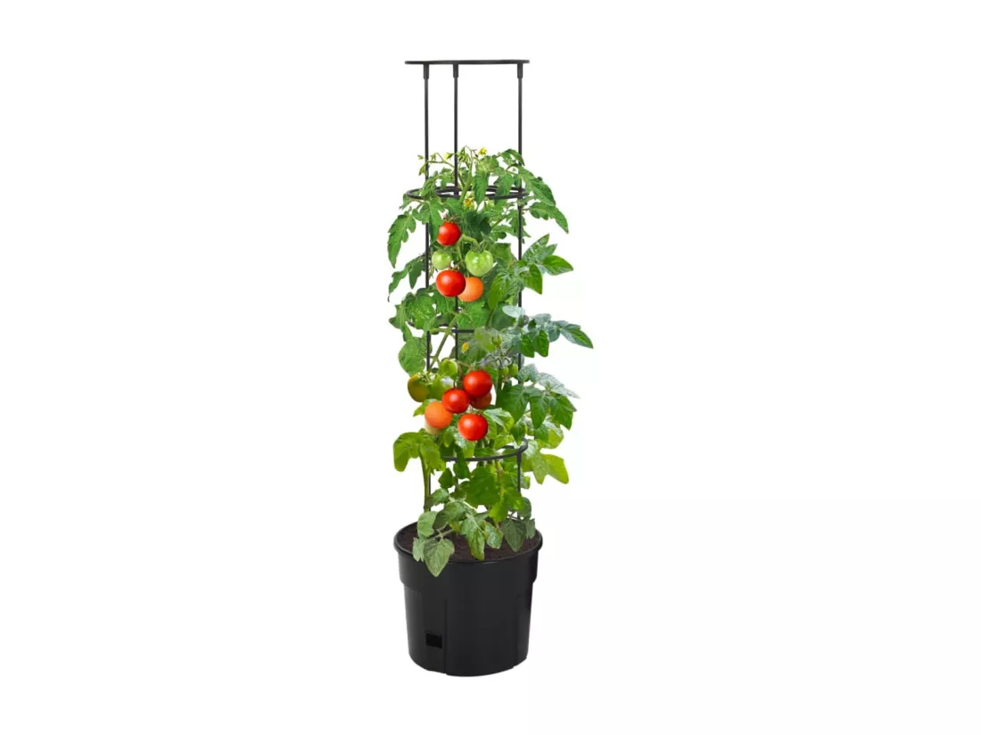Jardinière à tomate Anthracite Ø29,5x115 cm Polypropylène