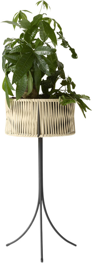 Audo Copenhagen Umanoff, Planter, H 69 Brun & sort