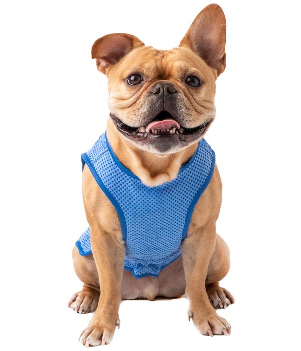 GF PET® Elastofit® Hundekühlweste
