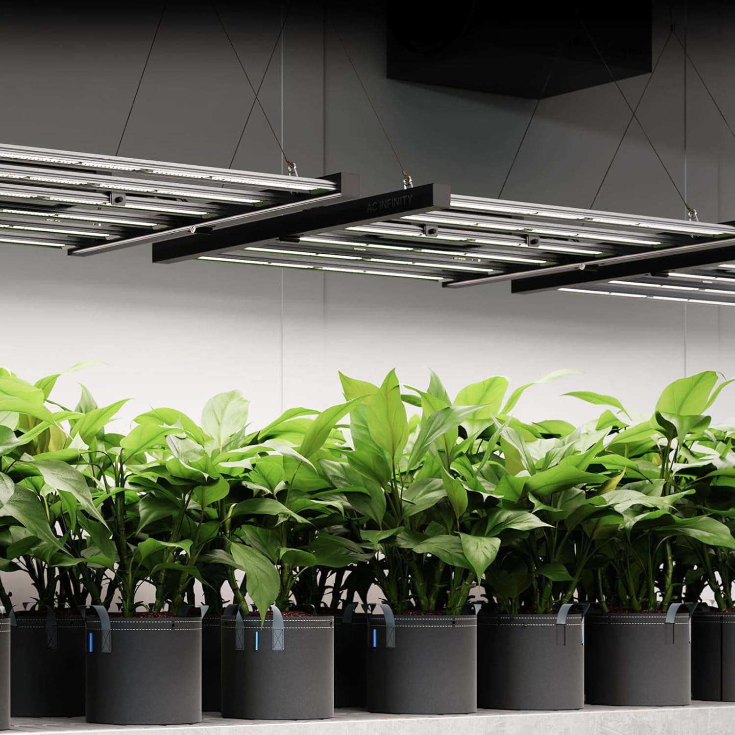 AC Infinity IONFRAME EVO8 LED Grow Light 730 W für 150 x 150 cm Grow Zelte, mit 2688 Samsung LM301H EVO LEDs und Vollspektrum-Licht für Indoor-Grow & Gewächshaus
