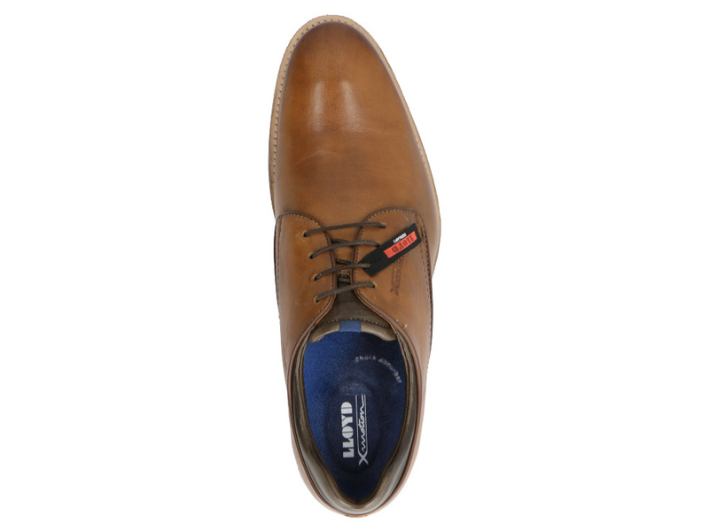 Lloyd 10-202-13 Cognac/donkerbruin