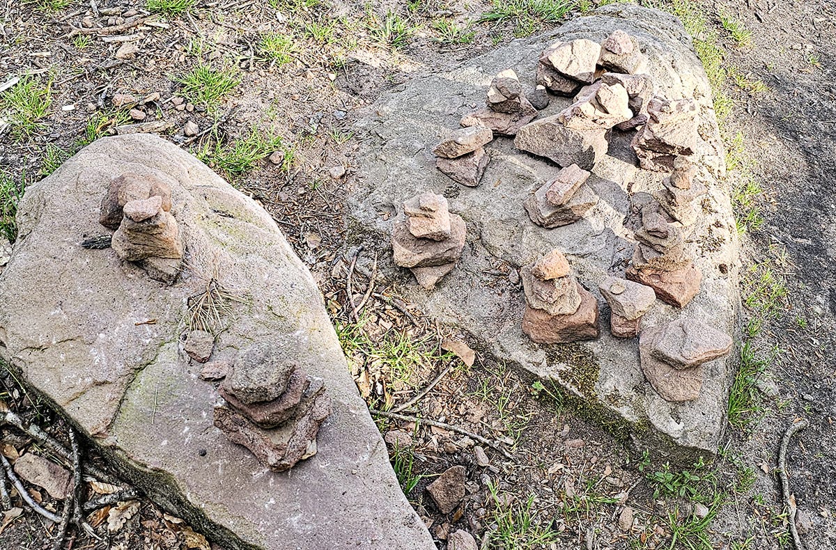 Tagestour mit Eseln Eppenbrunn