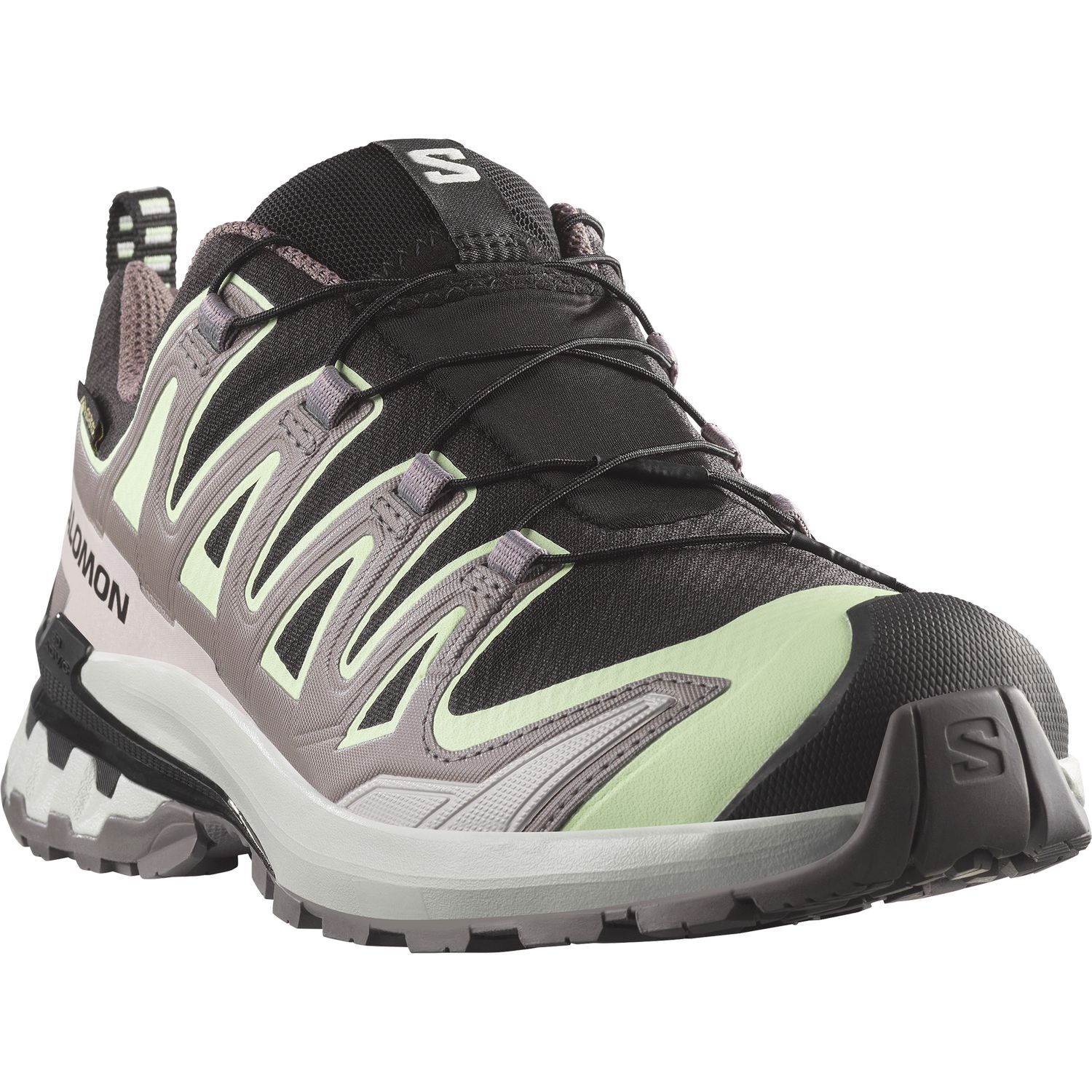 SalomonXA PRO 3D V9 GTX W