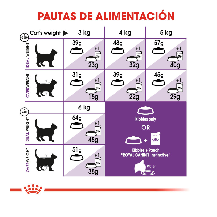 Ração Royal Canin Regular Sensitive 33 para gatos