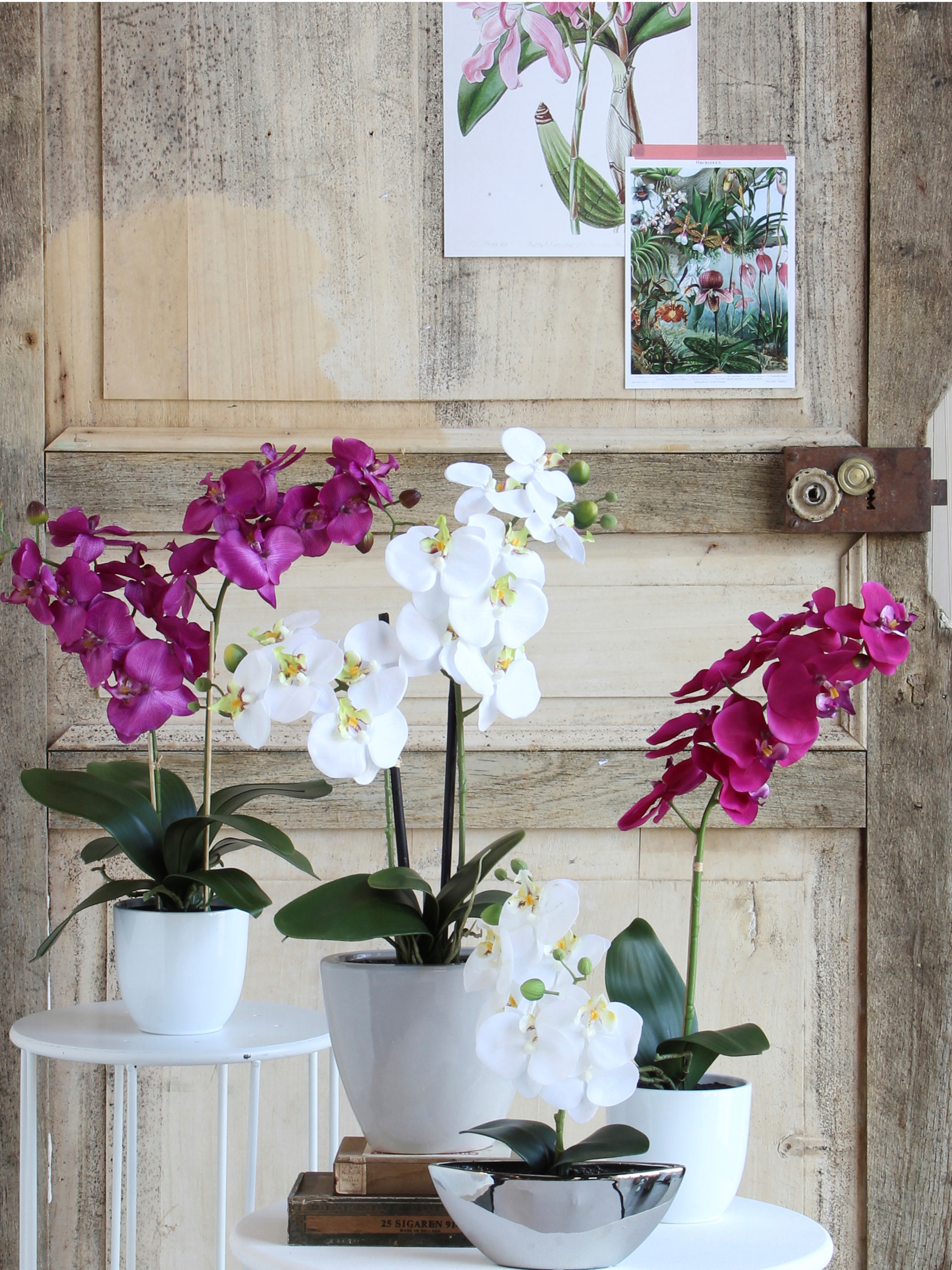 Mica decorations plante artificielle phalaenopsis - 38x38x66 cm - pe - blanc