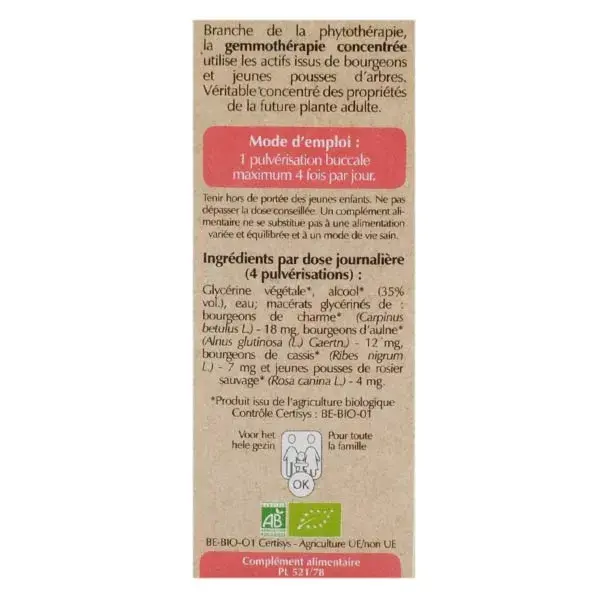 Herbalgem Sinugem Complexo de Biogemoterapia para o Trato Respiratório 15ml
