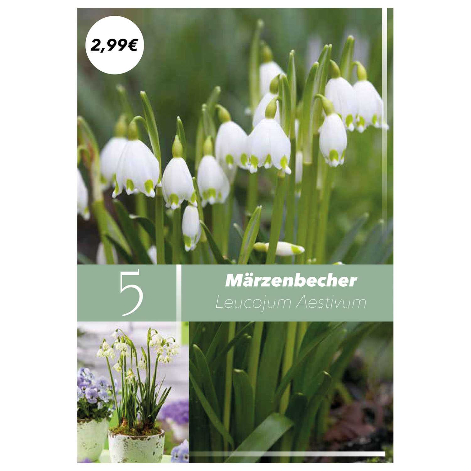 Blumenzwiebeln Frühlingsboten Herbst 9fach