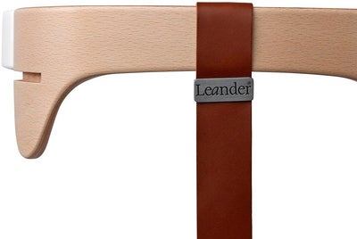 Leander Louie Skinnreim til Bøyle, Brown