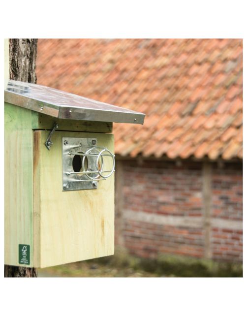 Best For Birds Eekhoorn-Marter Korfje - Broeden - Zilver