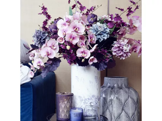 Tige d'Orchidée Phalaenopsis Forever - Fuchsia