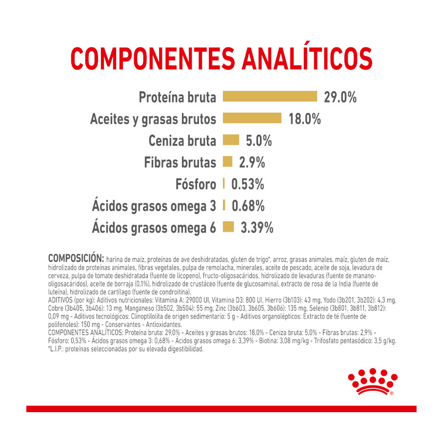 Ração Royal Canin Adult 8+ Yorkshire para cães