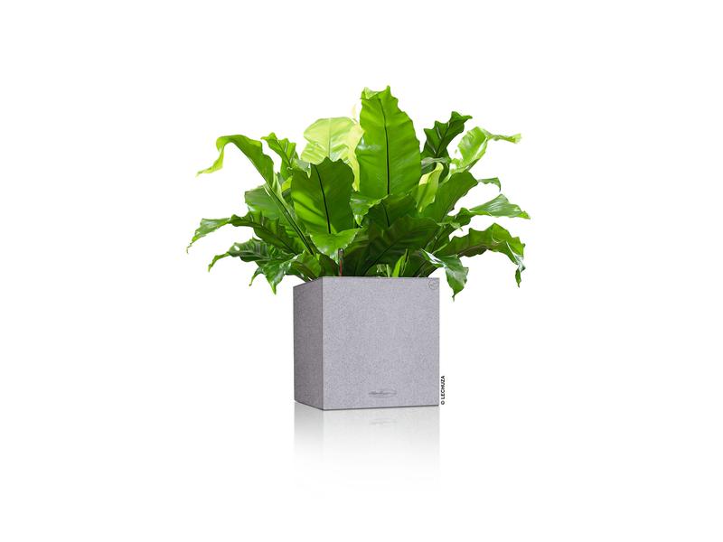 Lechuza Blumentopf CANTO Stone 14 Hellgrau Topf