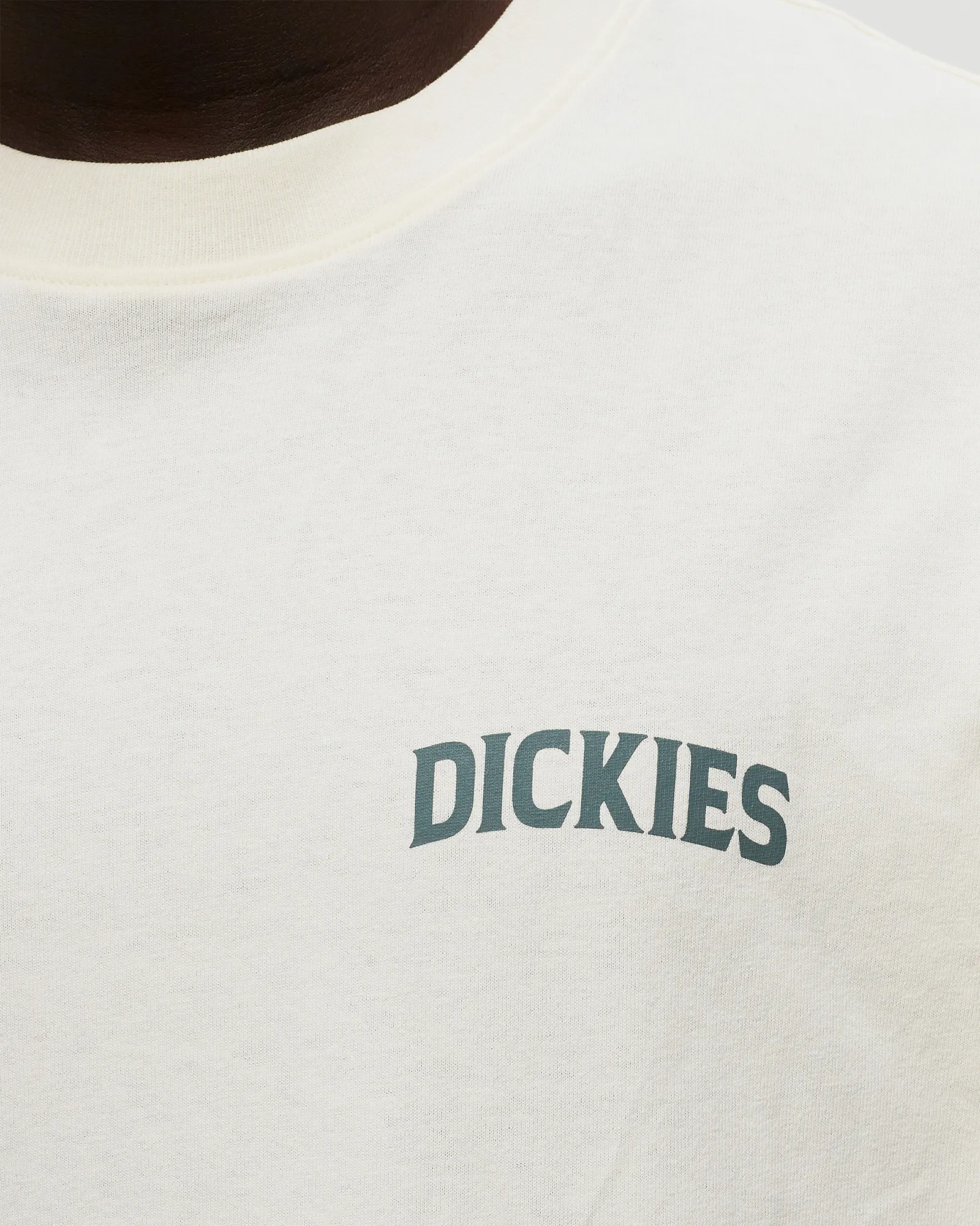 CHÁ DICKIES ELLISTON SS CLOUD