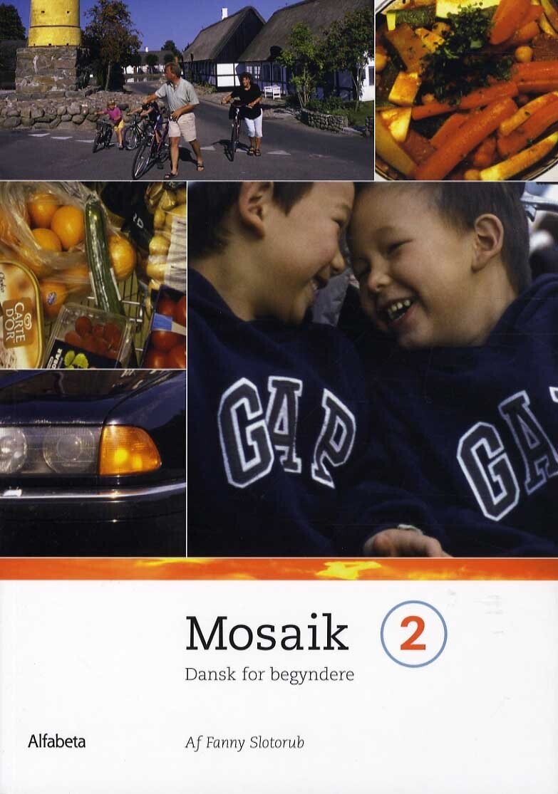 Mosaik 2, Grundbog - Fanny Slotorub - Bog
