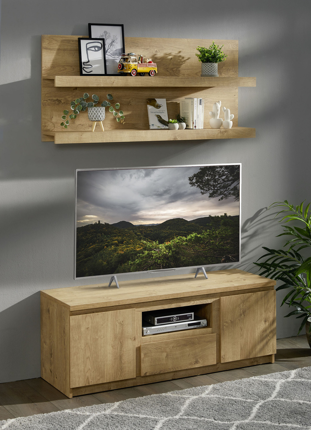 TV-Longboard mit Wandboard in modernem Design