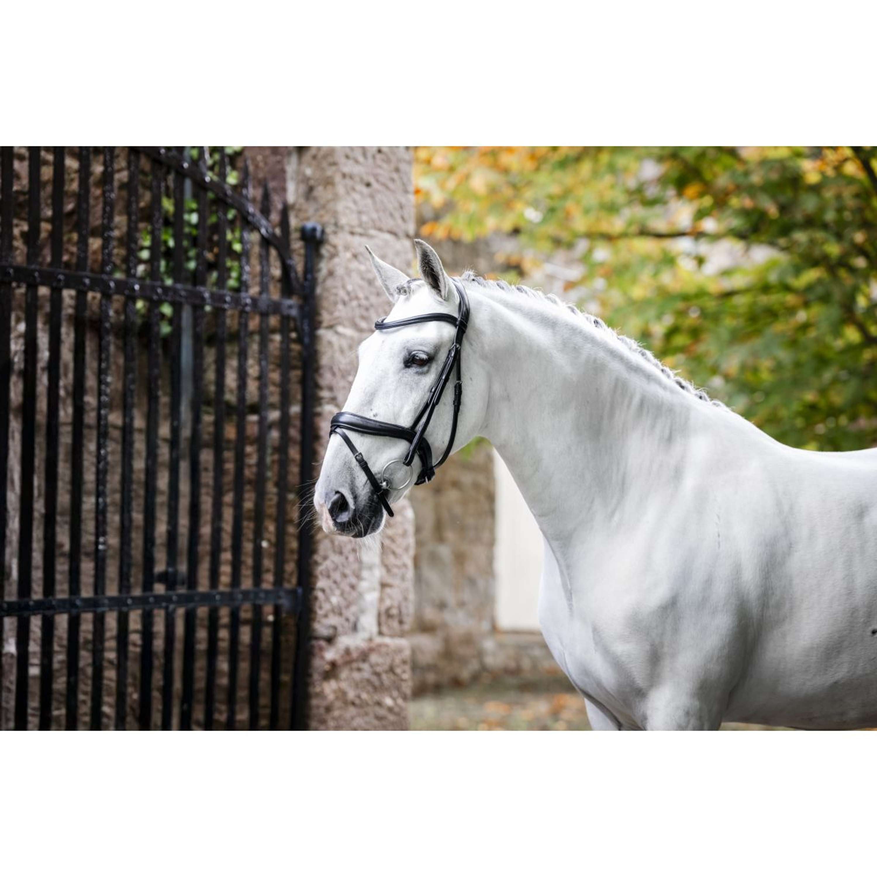 Horseware Hoofdstel Dressage Zwart