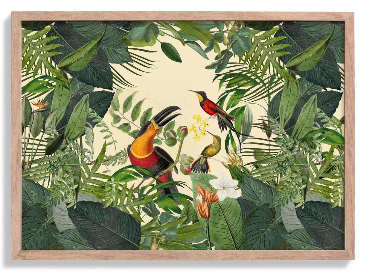 Tropischer Tukan von Andrea Haase