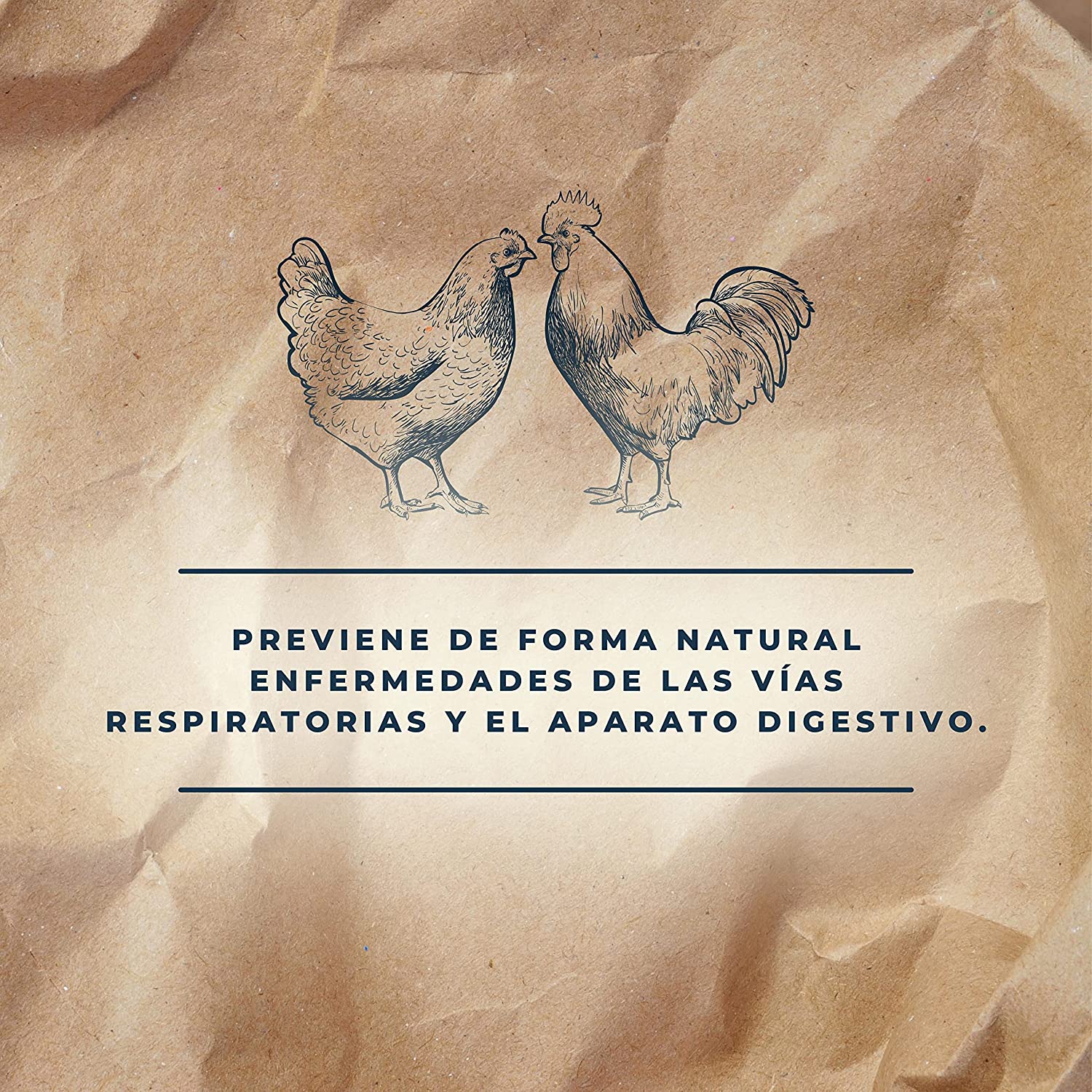 Suplemento alimentar para uma boa saúde digestiva em animais | Digestive Top 250 ml para coelhos e aves | Contém orégano e tomilho