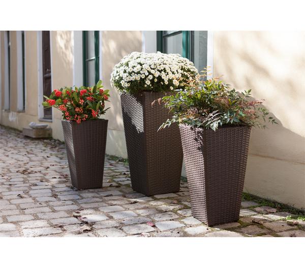 Dehner Polyrattan-Topf Alicante, konisch,