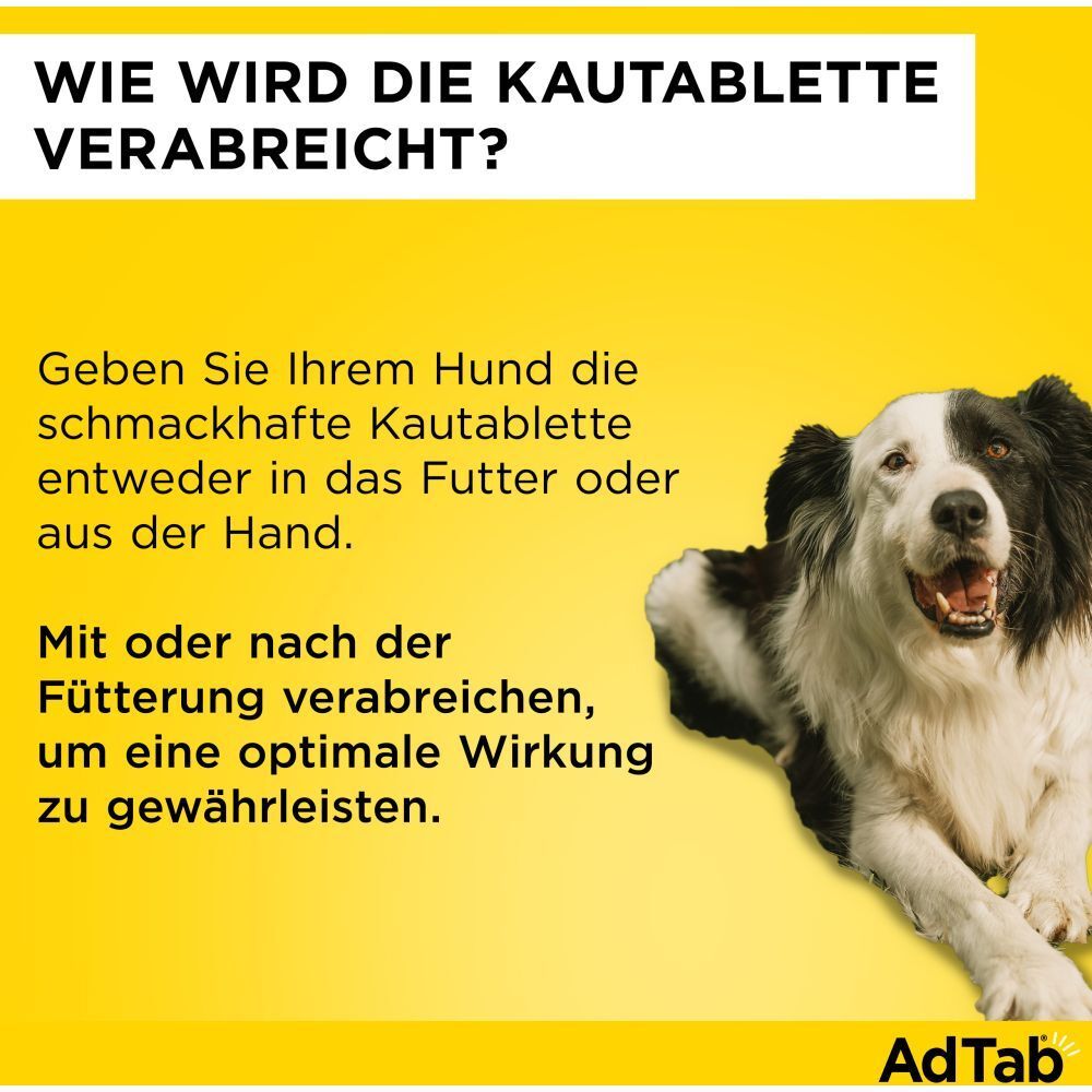AdTab™ Hund über 11 bis 22 kg 450 mg