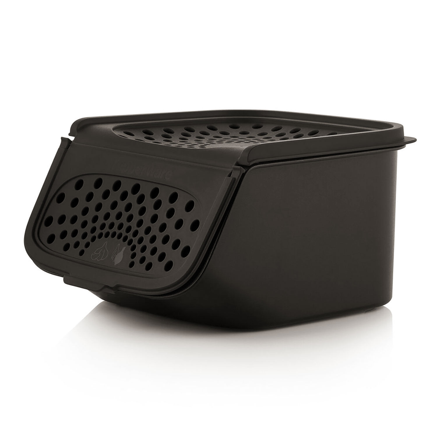 Tupperware™ GarlicSmart aus der PantrySmart-Serie