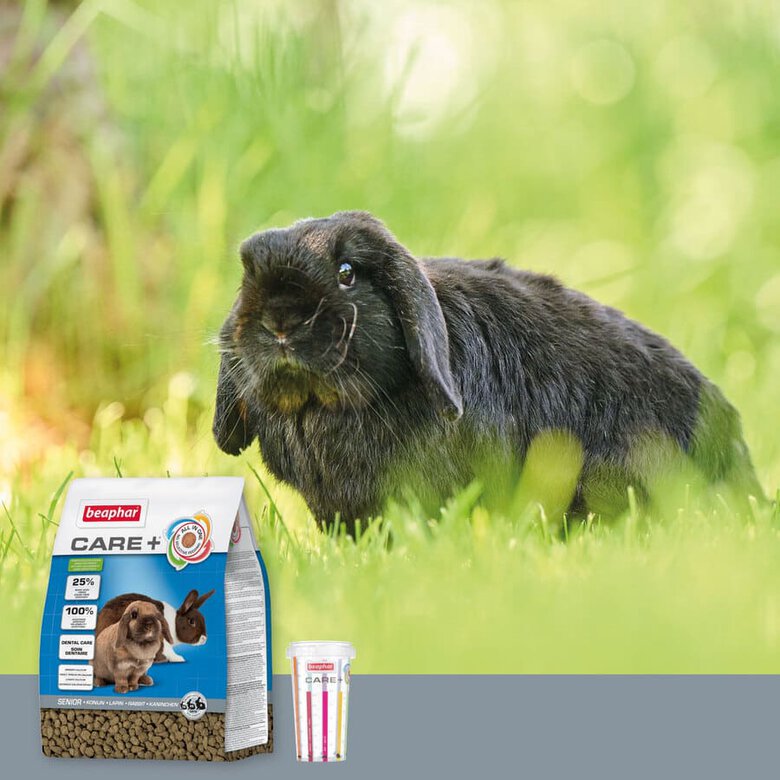Ração Beaphar Care+ para coelhos idosos