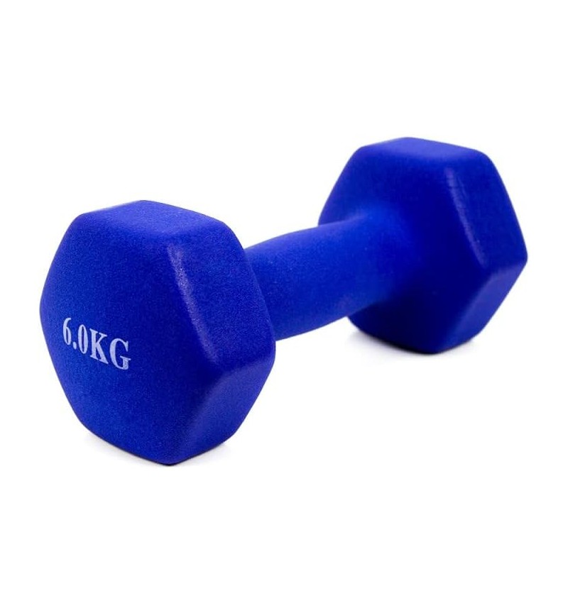 Halter de aço de 6 kg com revestimento de vinil