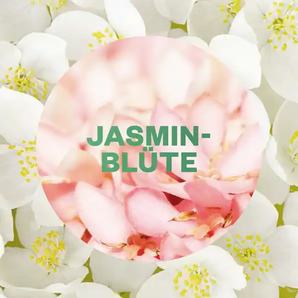 24 / 7 Active Fresh Aerosolfreies Automatisches Duftspray Nachfüller Jasminblüte