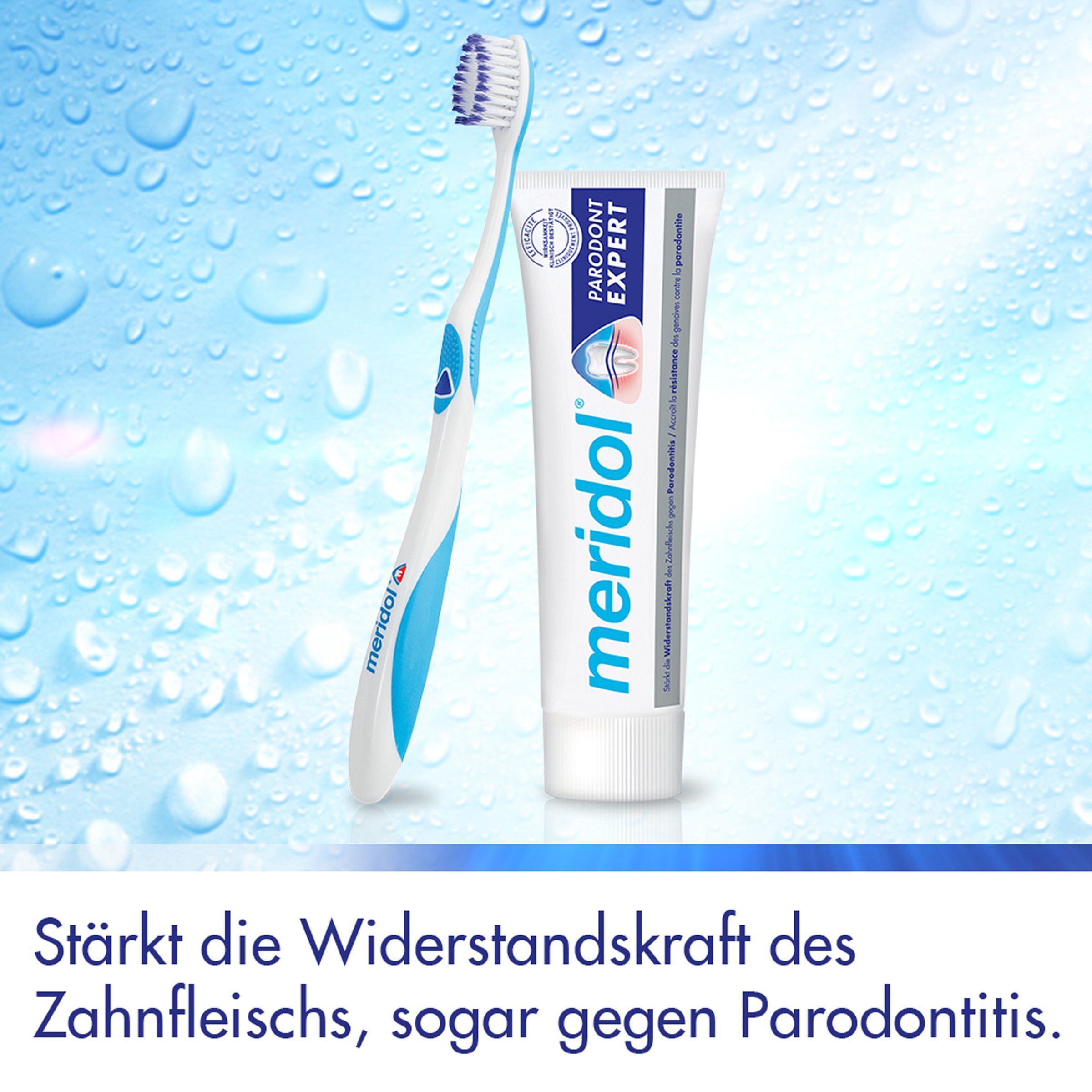 meridol Parodont Expert Zahnpasta bei Parodontitis und Zahnfleischrückgang