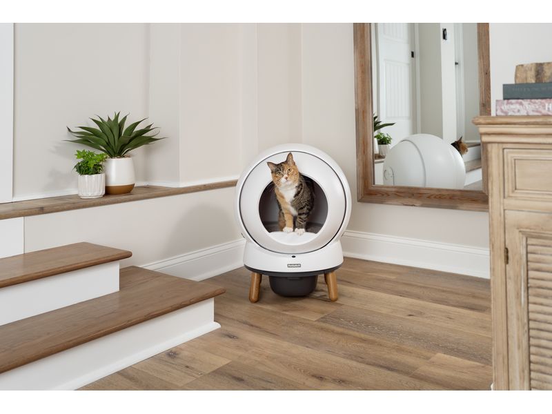 PetSafe Katzentoilette ScoopFree SmartSpin Selbstreinigende Katzentoilette mit App-Steuerung für eine saubere und gesunde Umgebung