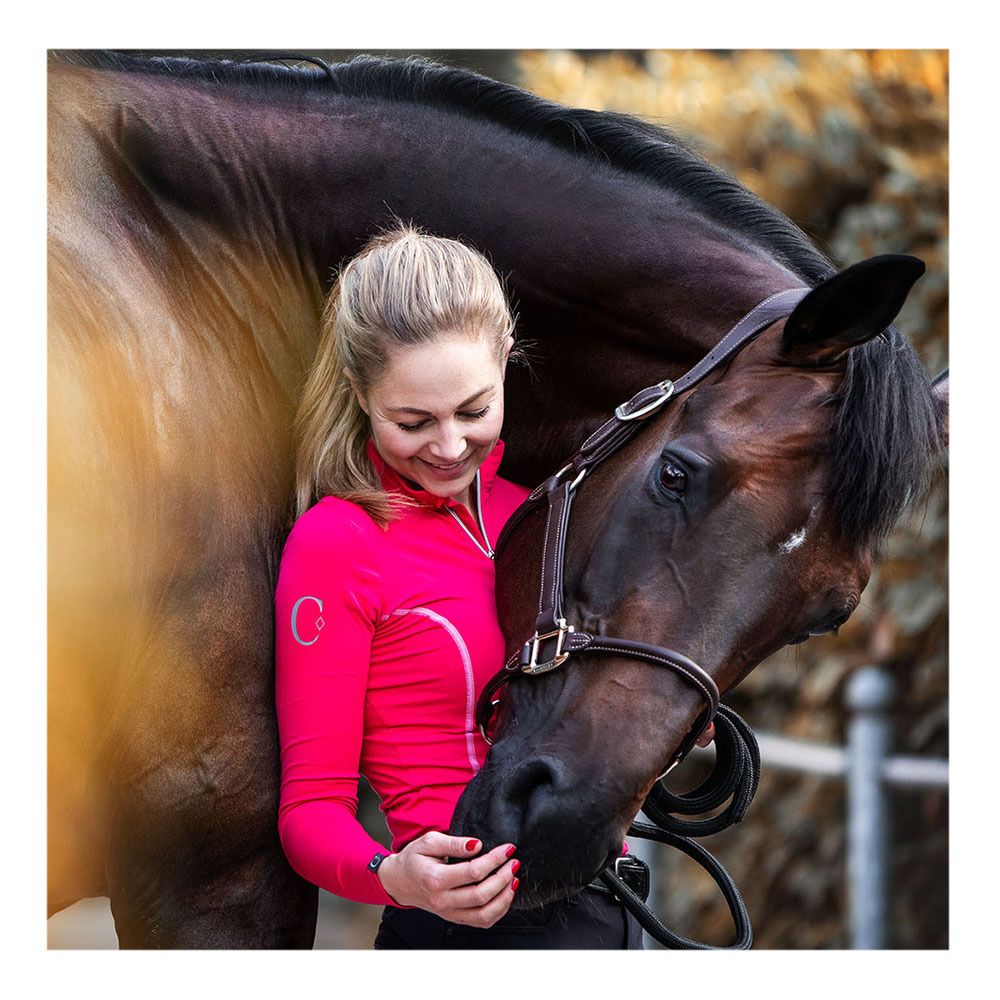 Kentucky FLEXIBLE - Licol brown