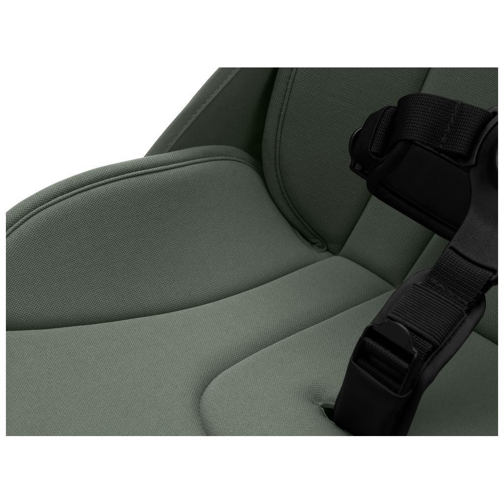 bugaboobugaboo   Butterfly black/forest green