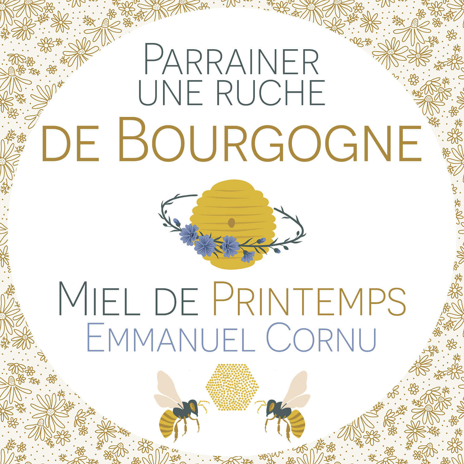 Parrainer une ruche de Bourgogne : Miel de printemps - Récolte 2024