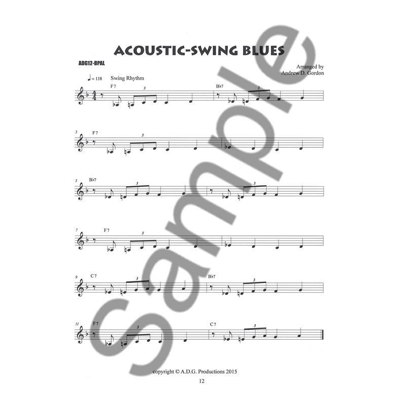 MusicSales - The Blues Play-a-long and solos collection