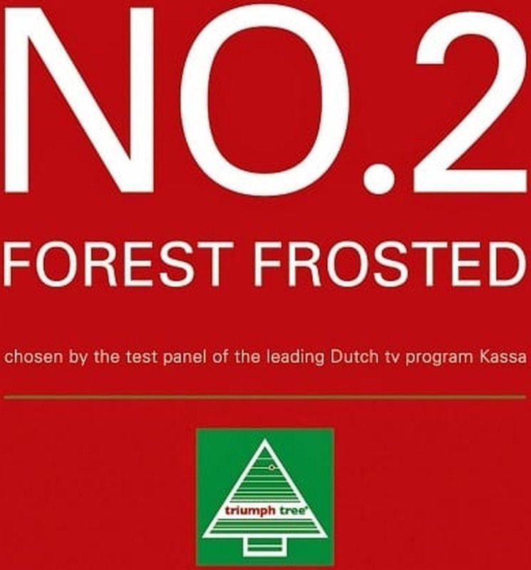 Triumph Tree Forest Frosted Kunstkerstboom - H185 x Ø130 cm - Groen
