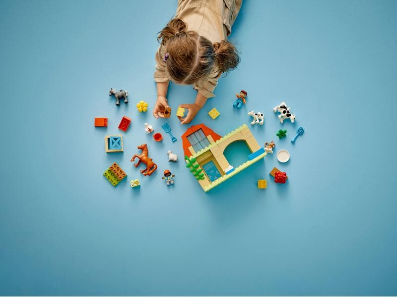 LEGO® DUPLO® Tierpflege auf dem Bauernhof 10416 Bauernhof-Spielset