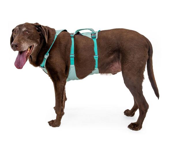 RUFFWEAR® Hundegeschirr Flagline Harness 2.0