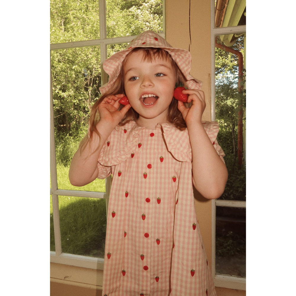 Køb Flöss Pink Berry Gingham Dolly Kjole