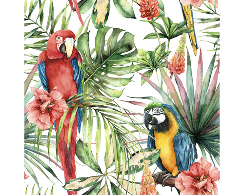 Vliesbehang 33429, digitale print, Glööckler papegaaien, 3-delige set, 160 x 160 cm