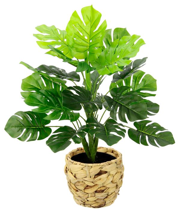 I.GE.A. Kunstpflanze Monstera im