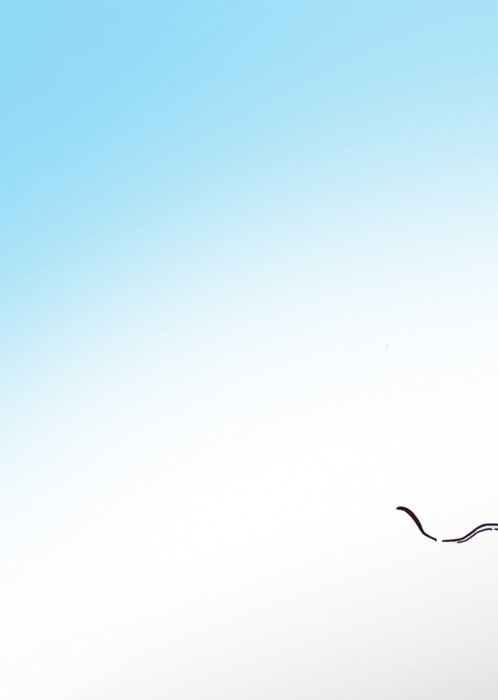 Doodles | Verjaardagskaart | 60 jaar