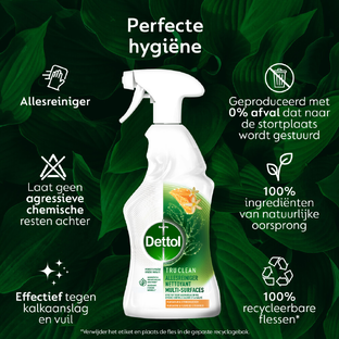 Dettol Allesreiniger Spray Mandarijn & Citroenbloesem 500ML