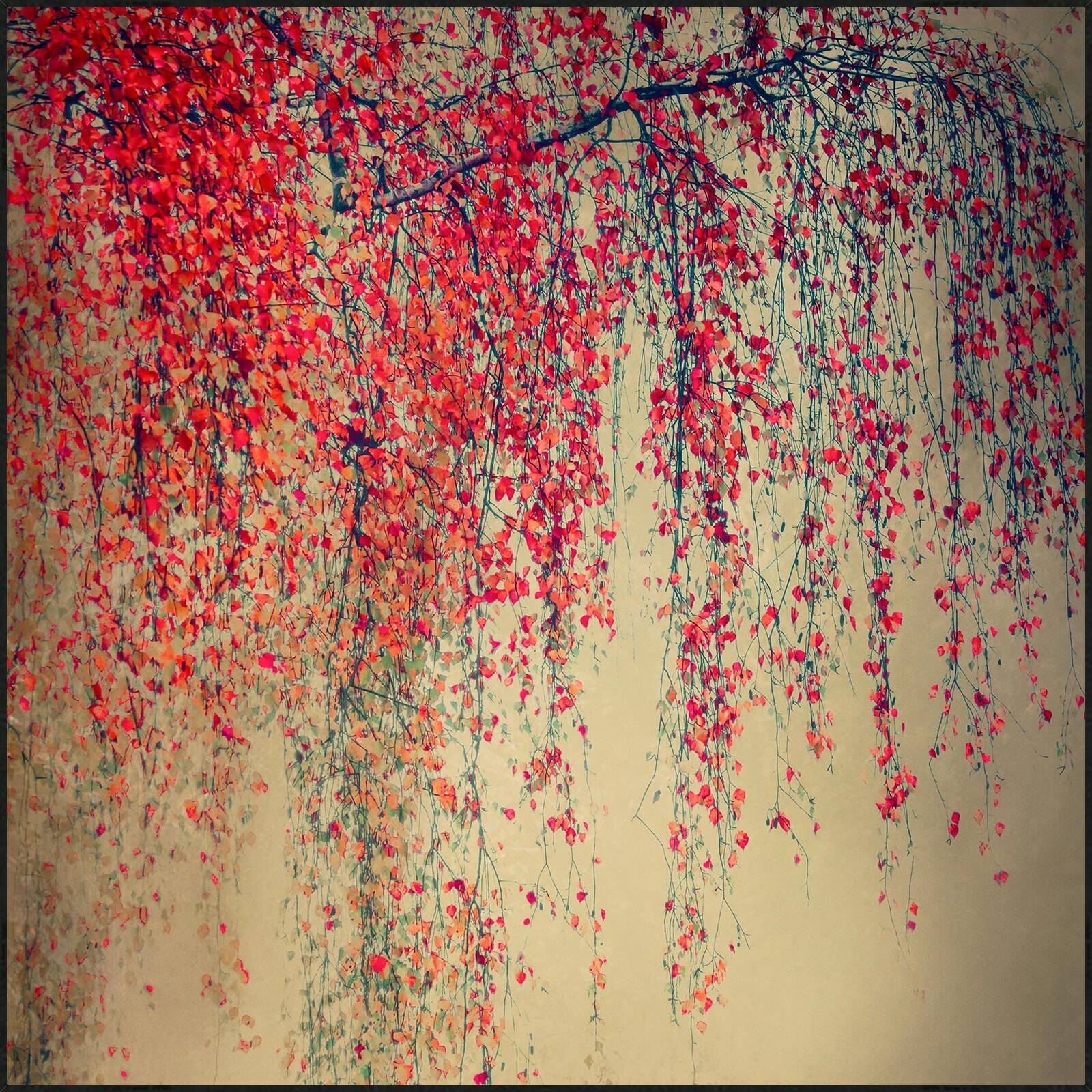 Purple Rain by Christiane Steinicke - Open Edition.
