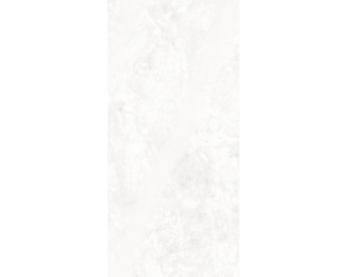 Doucheachterwand SCHULTE DecoDesign ExpressPlus marmerlook licht hoogglans 255 x 100 cm EP19010253 703