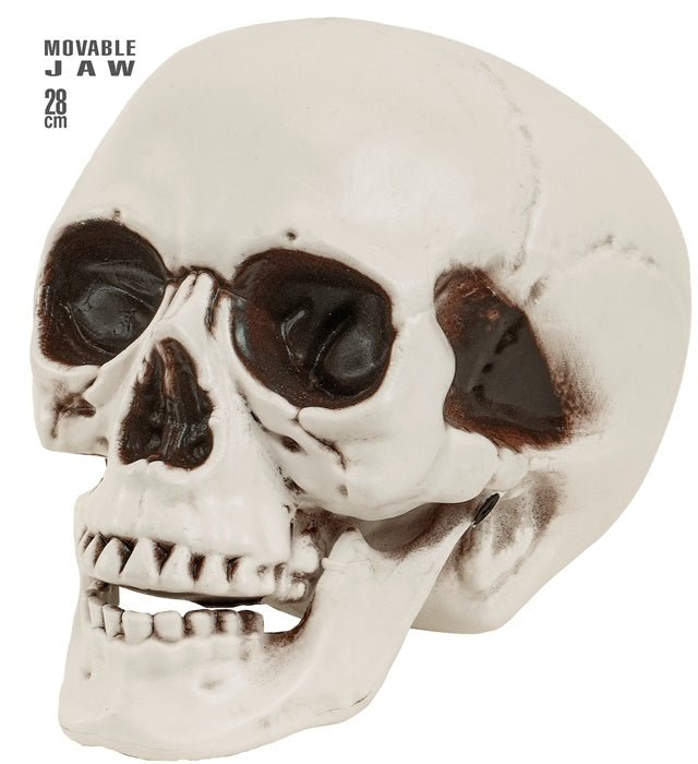 Halloween Schedel Met Beweegbare Kaak 28cm