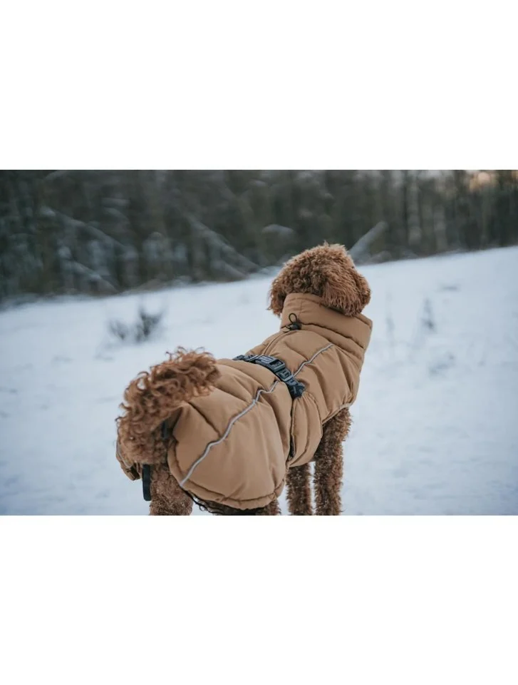 Hunter - Hundejakke Paxson Mops og Bulldog 44, karamel