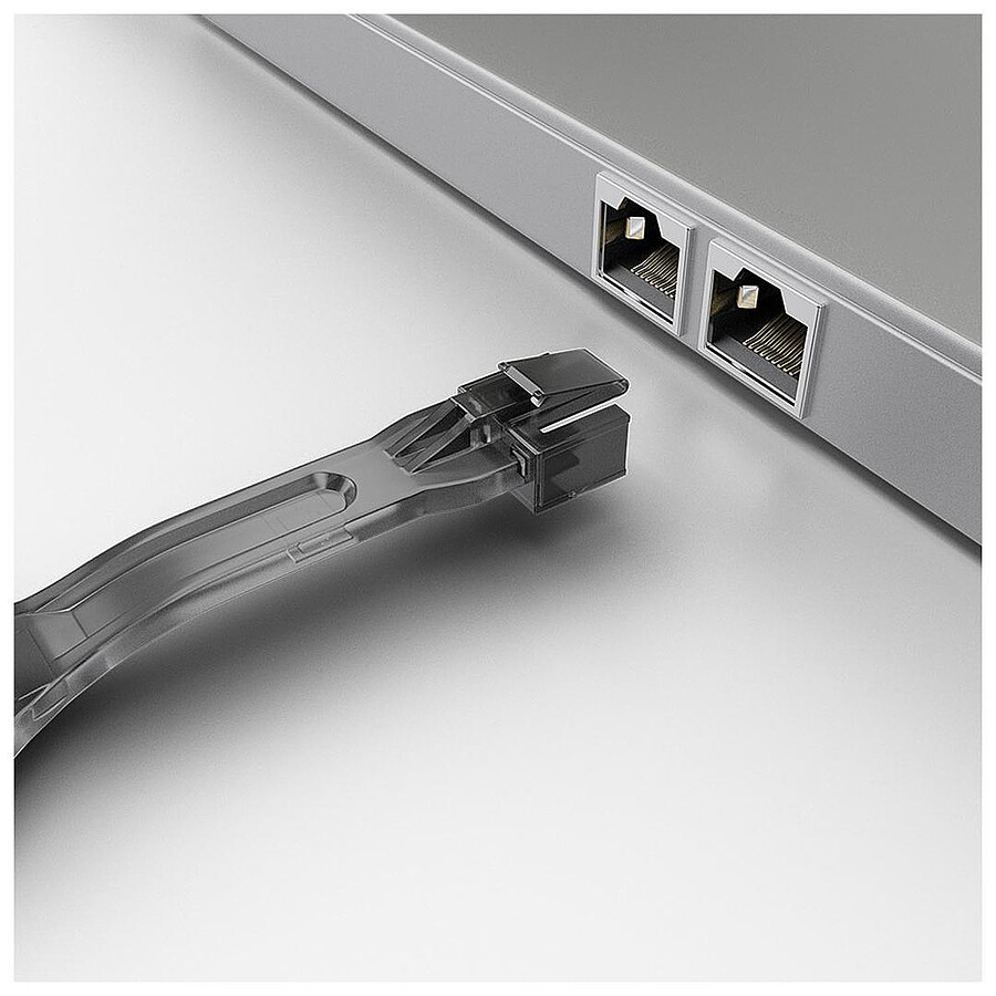 Verrous de ports RJ45