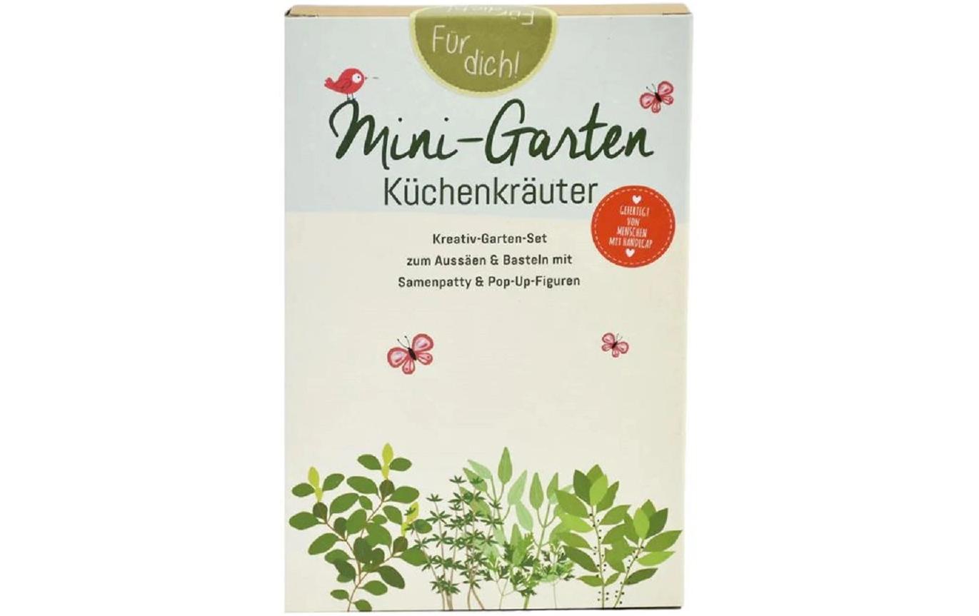 Mini-Garten KüchenkräuterKreativ-Garten-Set zum Aussäen und Basteln