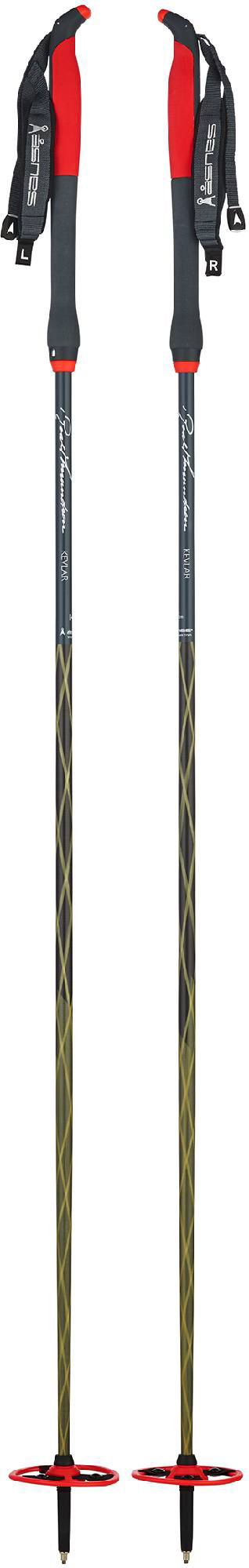 Åsnes Amundsen Kevlar BC Pole