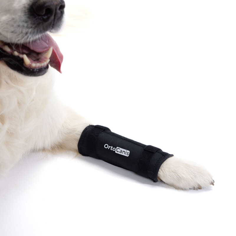 Suporte para o carpo em cães com osteoartrite, lesões ligamentares e instabilidade articular do carpo.